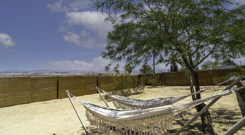 Photo of Desert Mistletoe
