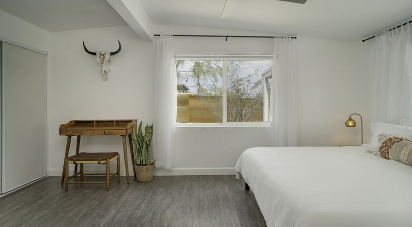 Photo of Desert Mistletoe