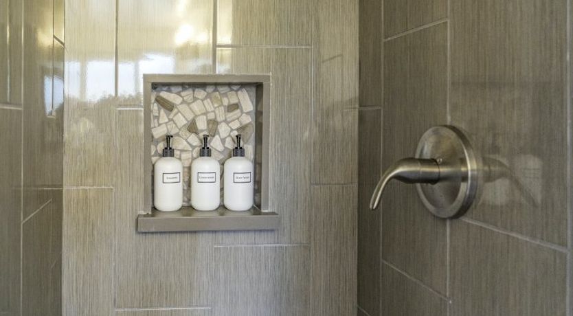 Photo of Desert Mistletoe