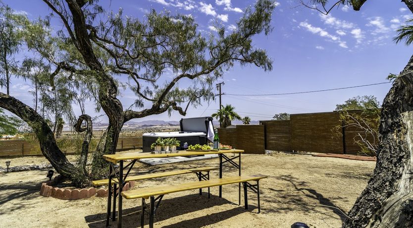 Photo of Desert Mistletoe