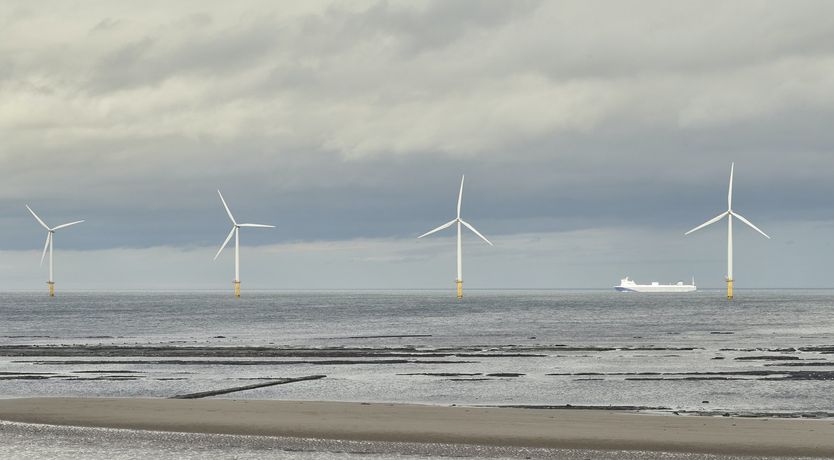 Photo of Sea You There