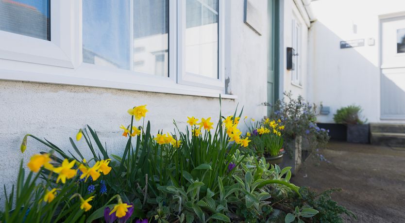 Photo of Sea Glimpses