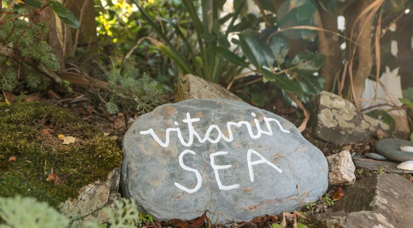 Photo of 33 Weymouth Park