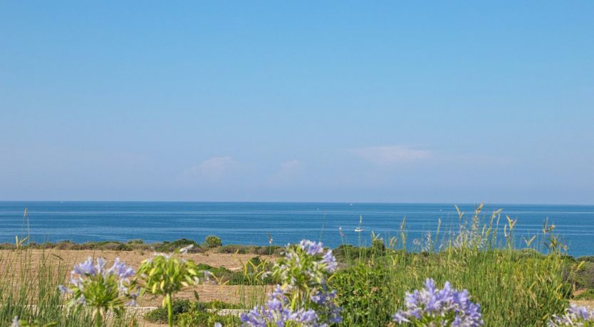 Photo of Behind the Vines