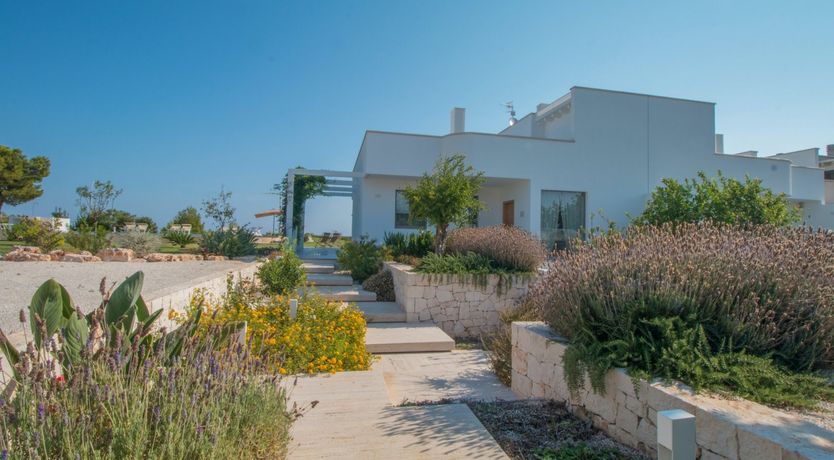 Photo of Behind the Vines