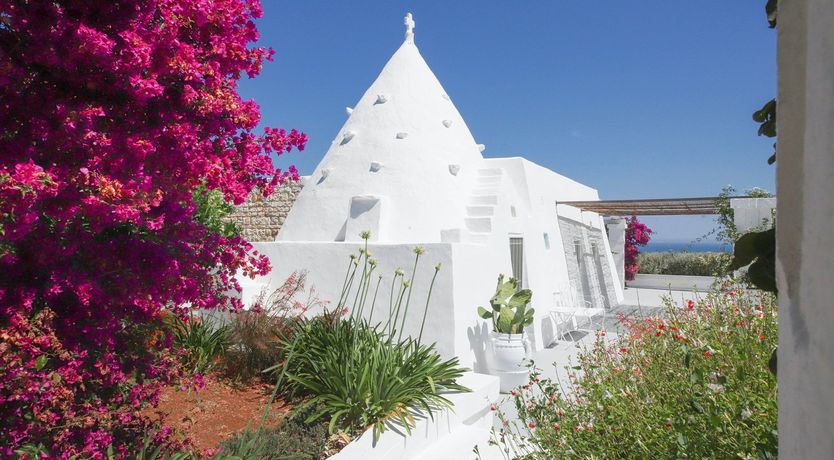 Photo of The Citrus Grove