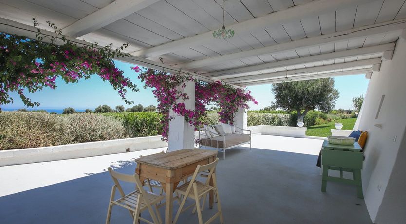 Photo of The Citrus Grove