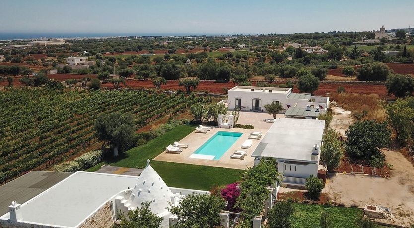 Photo of The Citrus Grove