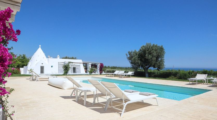 Photo of The Citrus Grove