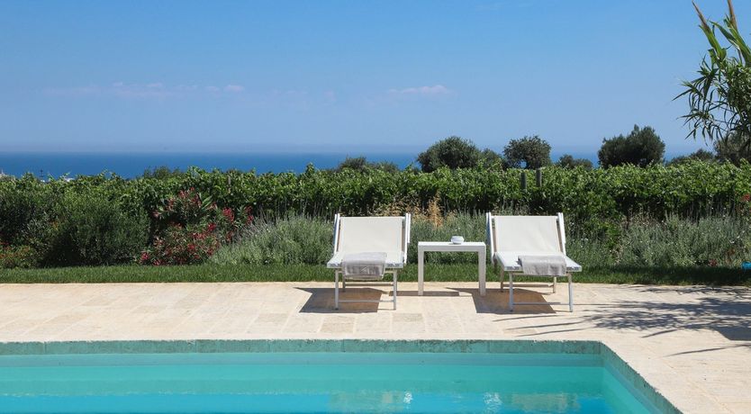 Photo of The Citrus Grove