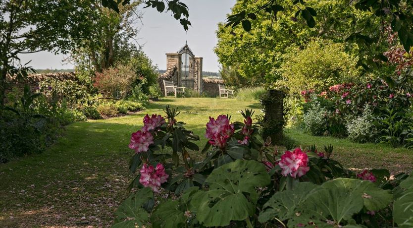 Photo of Under Blue Skies