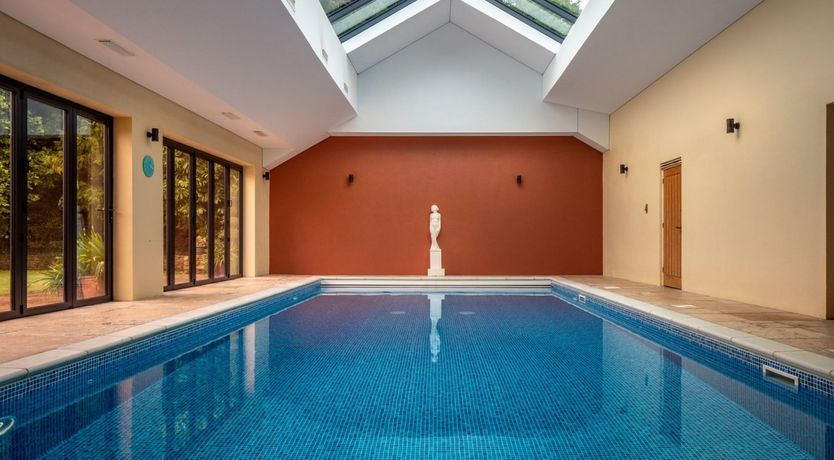 Photo of Under Blue Skies