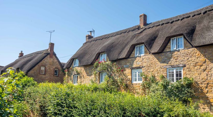 Photo of Tea & Roses