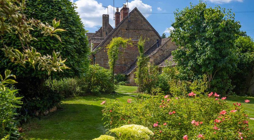 Photo of Tea & Roses