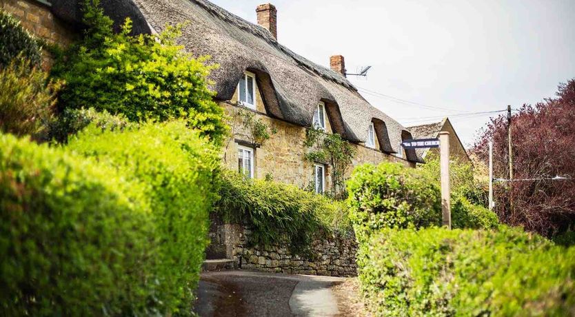 Photo of Tea & Roses
