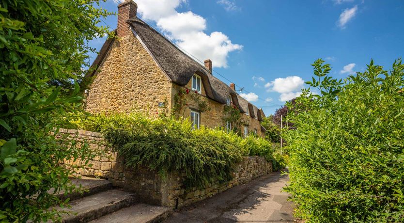 Photo of Tea & Roses