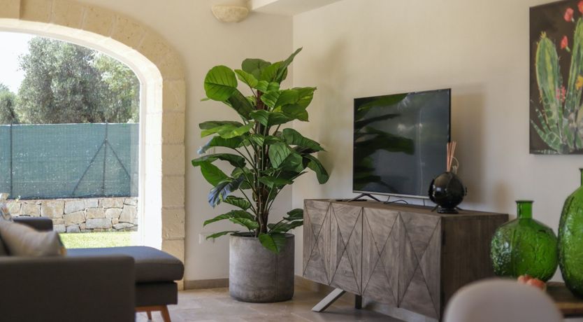 Photo of Find Me Under the Pergola