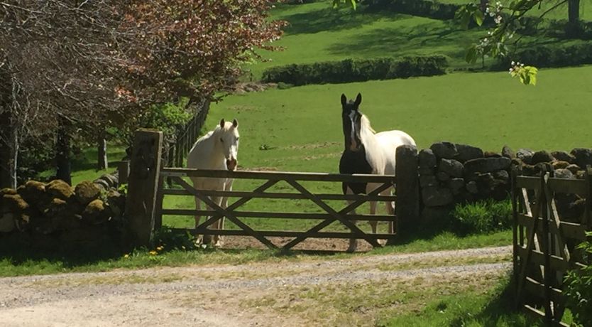 Photo of The Rocking Stone