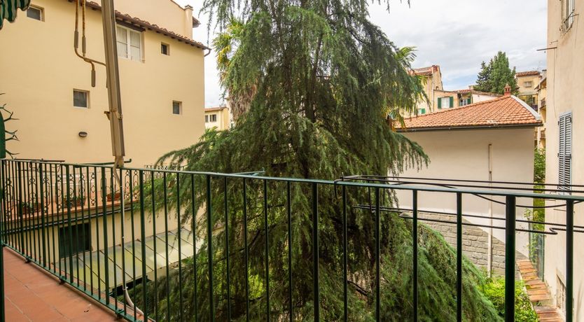 Photo of Gold Lilium