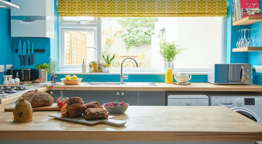 Photo of Little Honey Bee