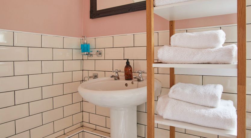 Photo of Little Honey Bee