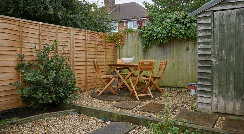 Photo of Little Honey Bee