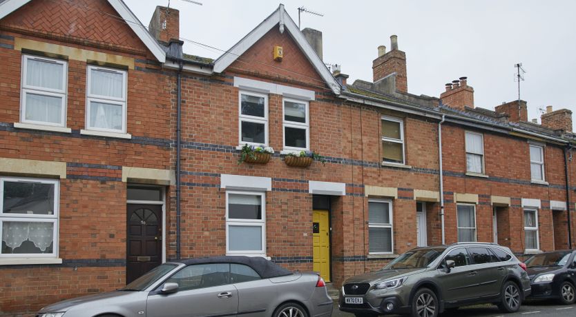 Photo of Little Honey Bee