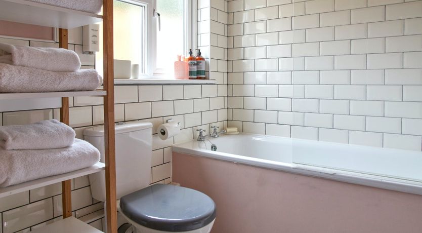 Photo of Little Honey Bee