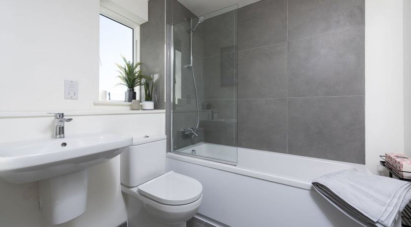 Photo of Dune Surfer