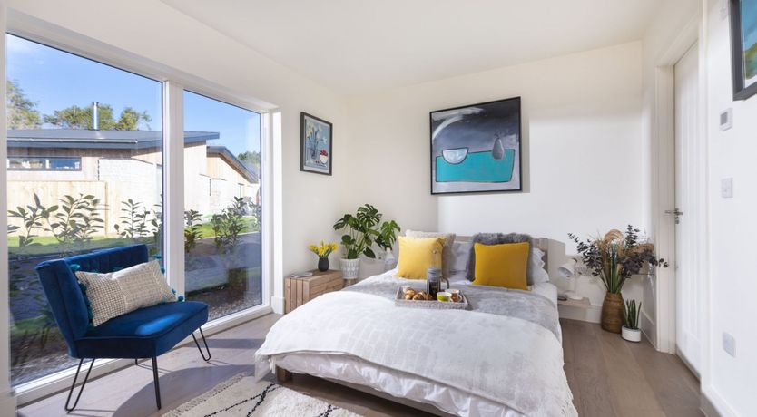 Photo of Dune Surfer