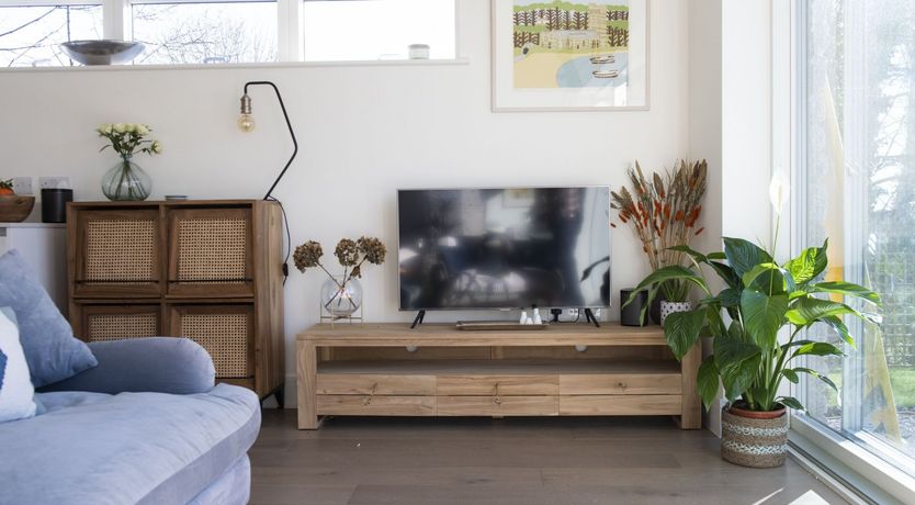 Photo of Dune Surfer