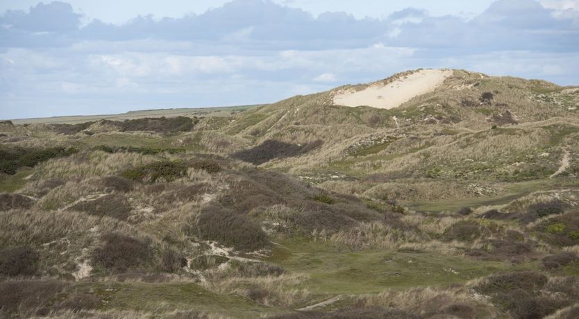 Photo of Dune Surfer