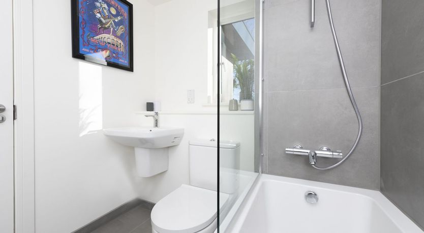 Photo of Dune Surfer