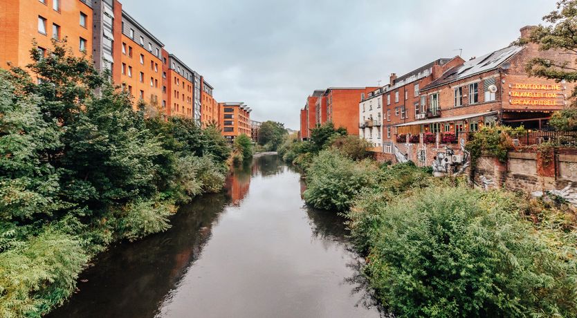 Photo of Are You Mine