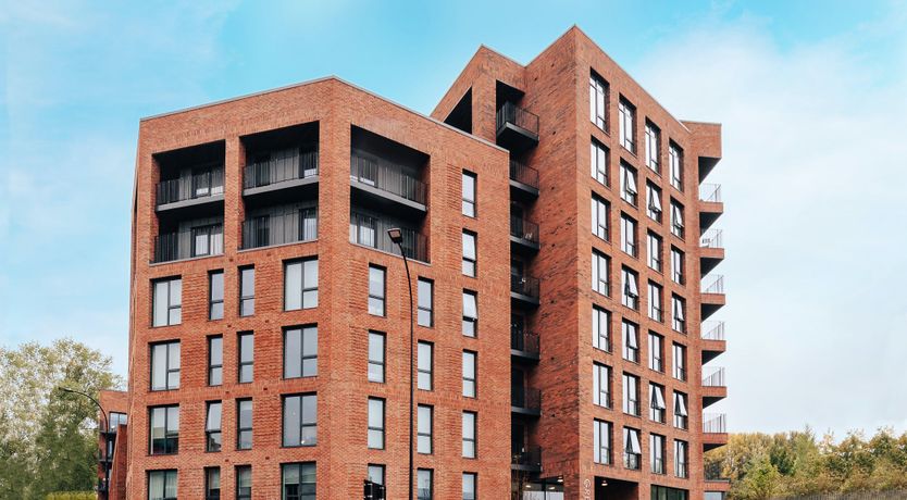 Photo of Mandarin Orange