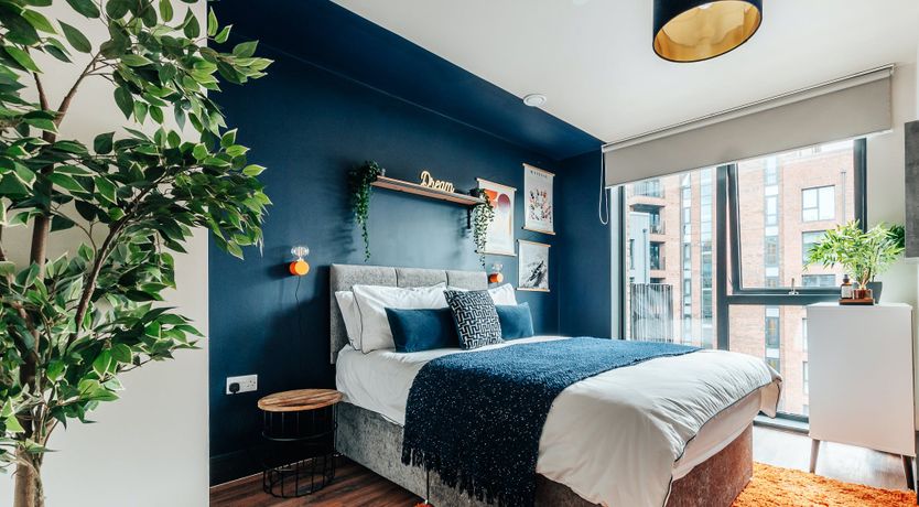 Photo of Mandarin Orange