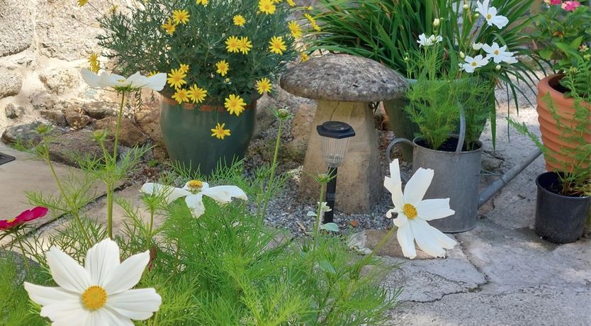 Photo of Quirky Cottage - Perfect exploring location