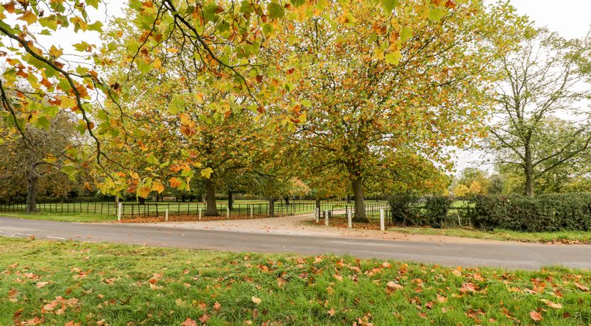 Photo of The Old Swill House