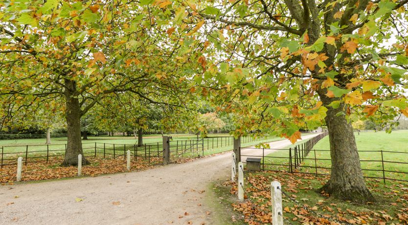Photo of The Old Swill House