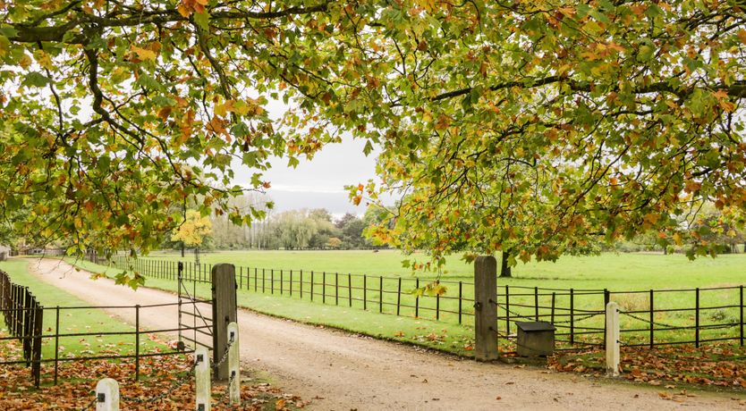 Photo of The Old Swill House