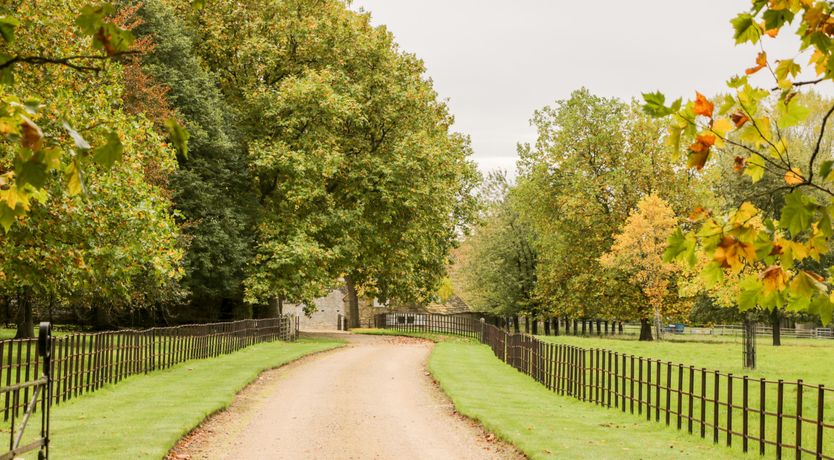 Photo of The Old Swill House