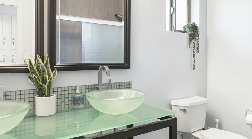 Photo of Hide & Seek