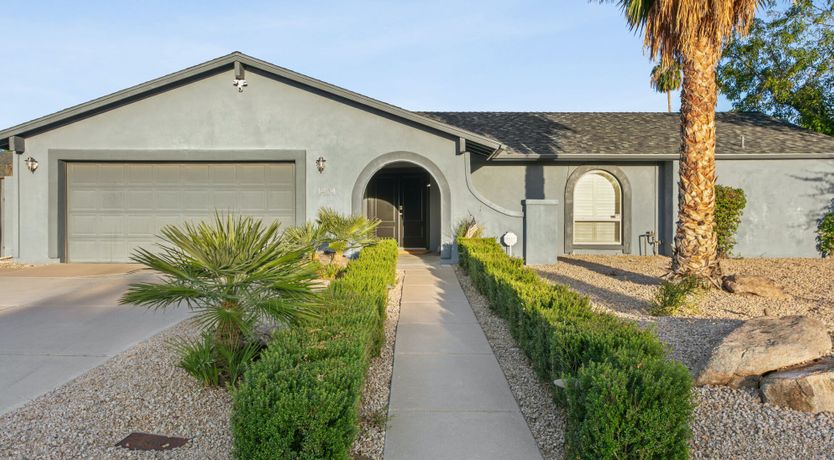 Photo of Hide & Seek