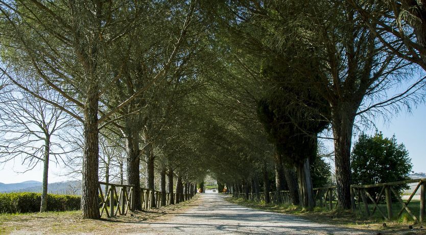 Photo of By The Hearthside