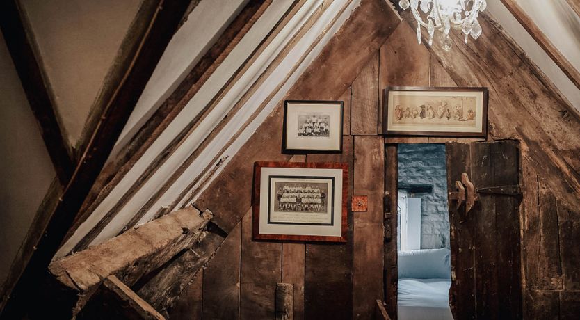 Photo of Golden Knights