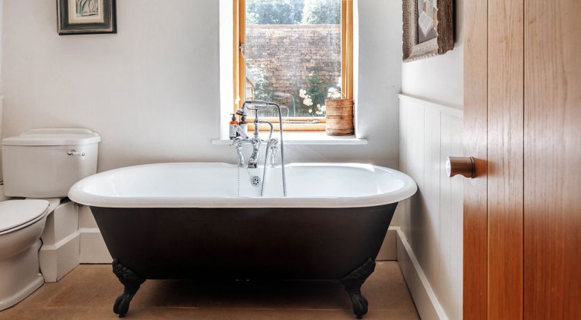 Photo of Golden Knights