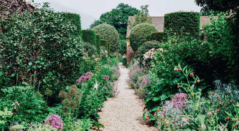 Photo of Golden Knights