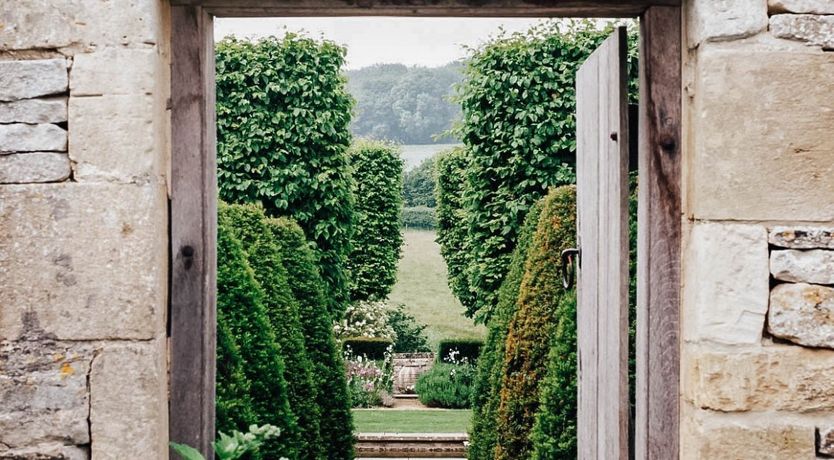 Photo of Golden Knights