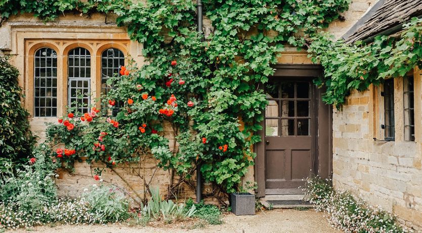 Photo of Golden Knights