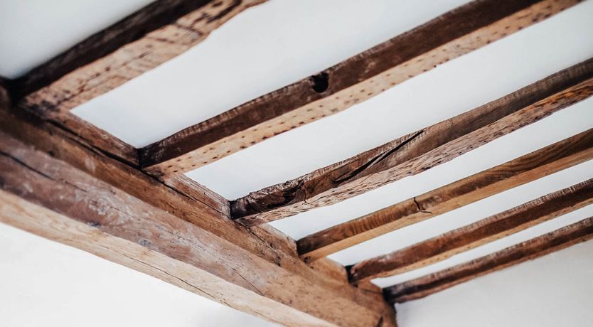 Photo of Golden Knights